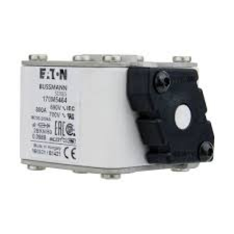 170M5464.jpg