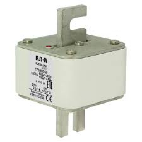170M6020.jpg