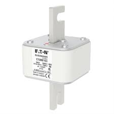 170M6163.jpg